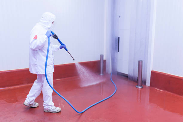 Best Paint Preparation  in Martinez, CA